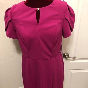 Shelby Palmer Size 10 Pink Dress